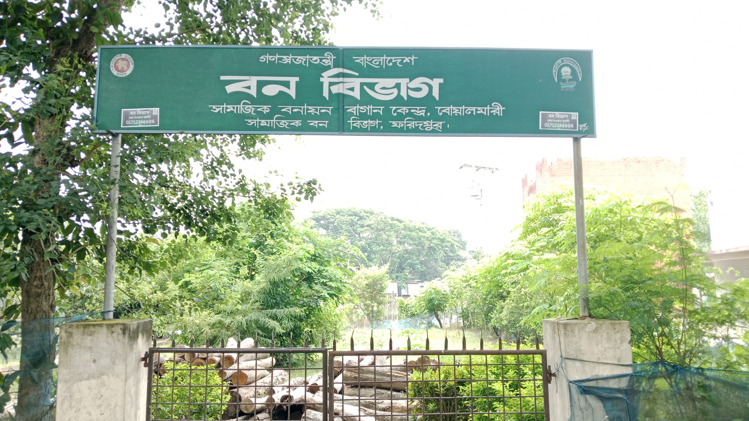 খাল পুনঃখননের নামে শতাধিক গাছ কাটার অভিযোগ- বোয়ালমারীতে তদন্ত কমিটি গঠন, জব্দ ৫৫টি গাছের গুঁড়ি